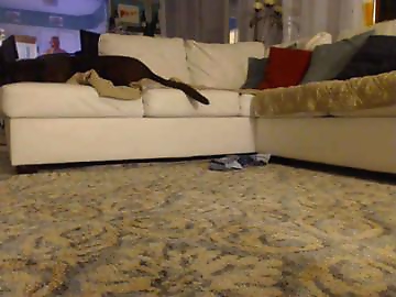 veronicawest is 23 year old sex cam girl